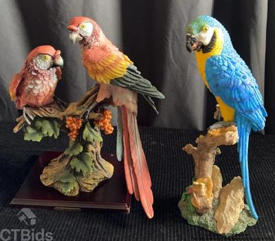 Parrots two on a wood base and one on a perch