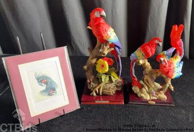 Scarlet macaws on wooden bases 2) and davis dickson art print