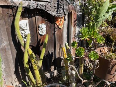 Sale Photo Thumbnail #583