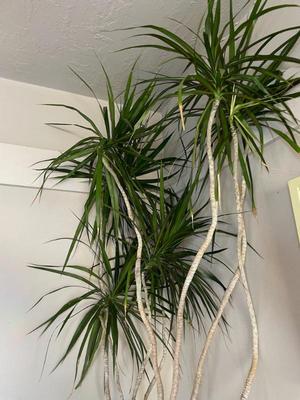 Sale Photo Thumbnail #256