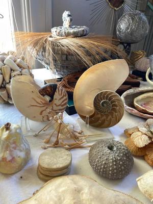 Sale Photo Thumbnail #111