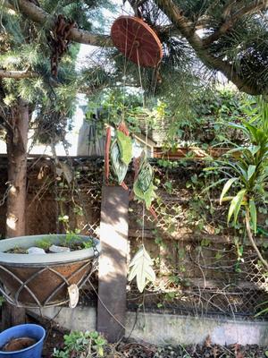 Sale Photo Thumbnail #617