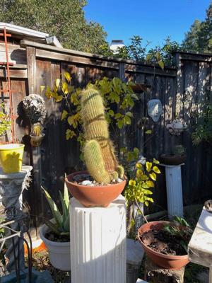 Sale Photo Thumbnail #587