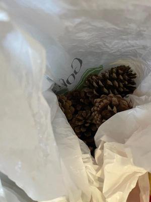 Sale Photo Thumbnail #174