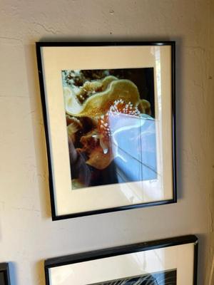 Sale Photo Thumbnail #72