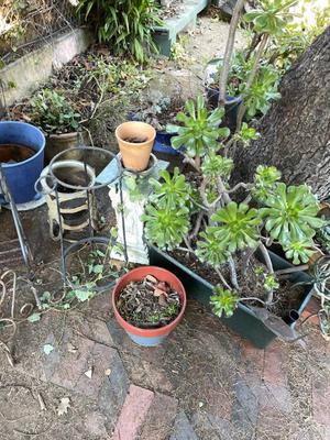 Sale Photo Thumbnail #614