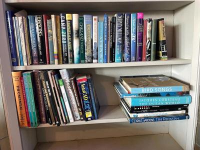 Sale Photo Thumbnail #59