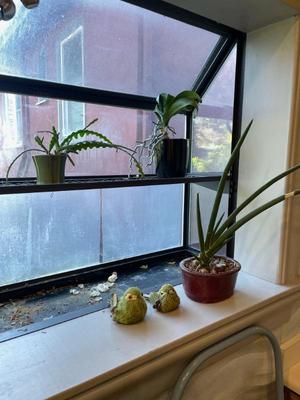 Sale Photo Thumbnail #320