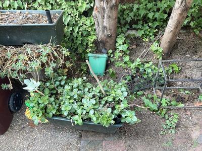 Sale Photo Thumbnail #612