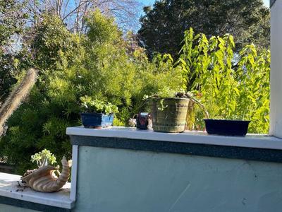 Sale Photo Thumbnail #566