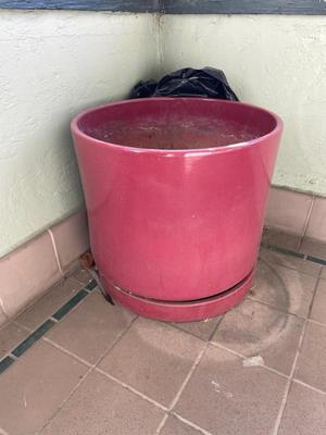 Sale Photo Thumbnail #480