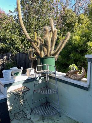 Sale Photo Thumbnail #567