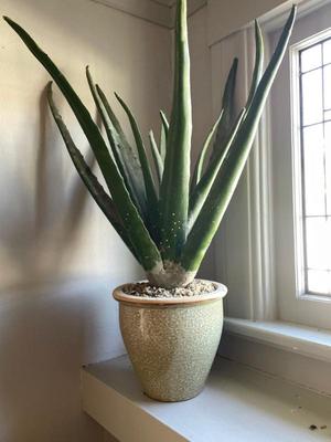 Sale Photo Thumbnail #56