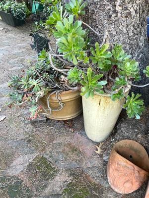 Sale Photo Thumbnail #623