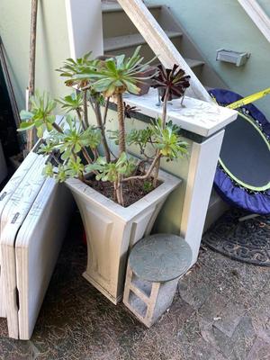 Sale Photo Thumbnail #610