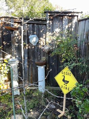 Sale Photo Thumbnail #598