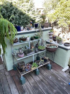 Sale Photo Thumbnail #574