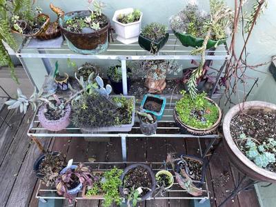 Sale Photo Thumbnail #576