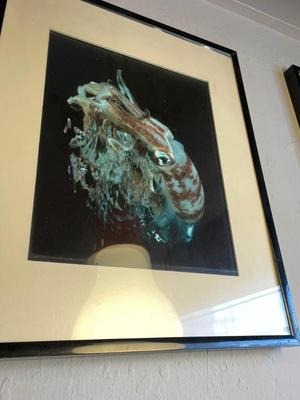 Sale Photo Thumbnail #70