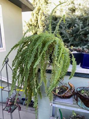 Sale Photo Thumbnail #575