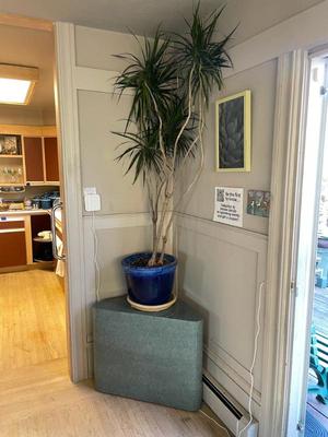 Sale Photo Thumbnail #255