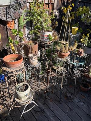 Sale Photo Thumbnail #584