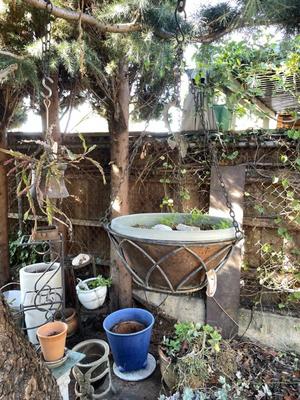 Sale Photo Thumbnail #618