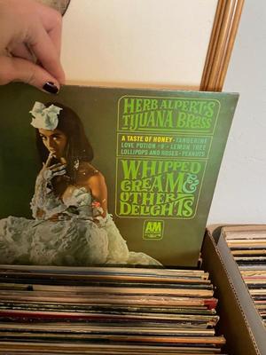 Sale Photo Thumbnail #386