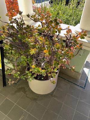 Sale Photo Thumbnail #481