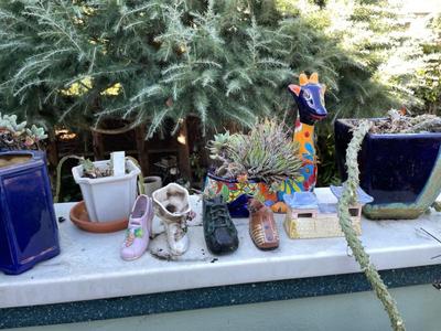 Sale Photo Thumbnail #577