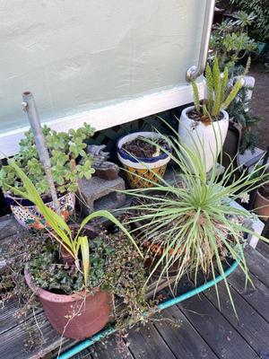 Sale Photo Thumbnail #599