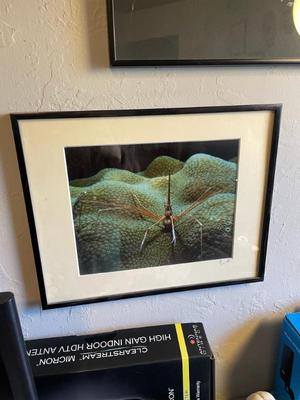 Sale Photo Thumbnail #66