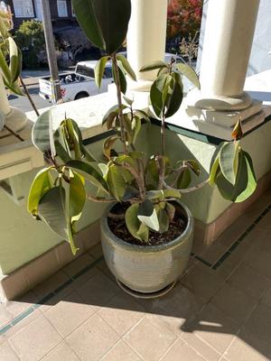 Sale Photo Thumbnail #482