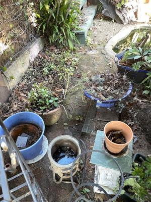 Sale Photo Thumbnail #615