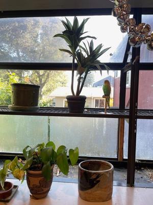 Sale Photo Thumbnail #322