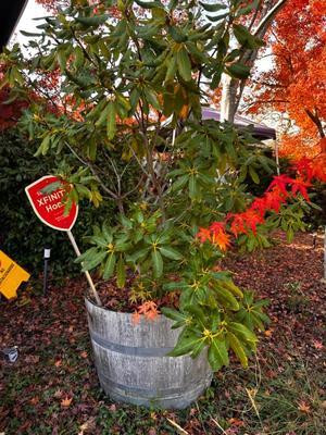 Sale Photo Thumbnail #555