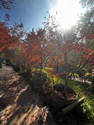 Sale Photo Thumbnail #546