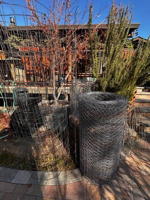 Sale Photo Thumbnail #532