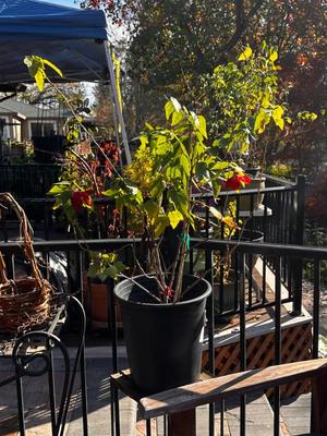 Sale Photo Thumbnail #505