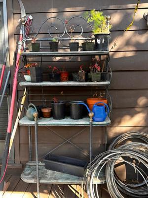 Sale Photo Thumbnail #499