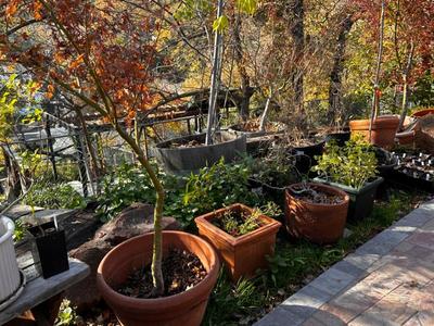 Sale Photo Thumbnail #534