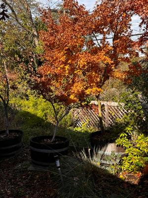 Sale Photo Thumbnail #552