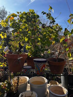 Sale Photo Thumbnail #487