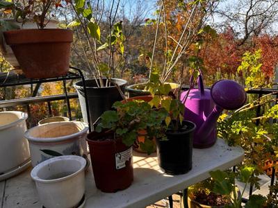 Sale Photo Thumbnail #489