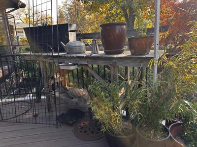 Sale Photo Thumbnail #493