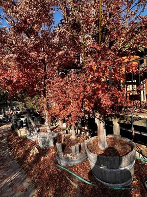 Sale Photo Thumbnail #536