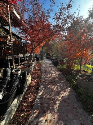 Sale Photo Thumbnail #545