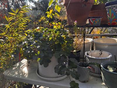 Sale Photo Thumbnail #491