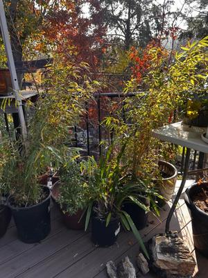 Sale Photo Thumbnail #494