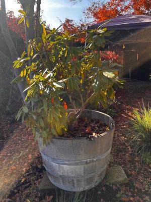 Sale Photo Thumbnail #556